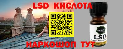дживик Можга