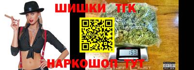 дживик Можга