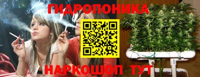 дживик Можга