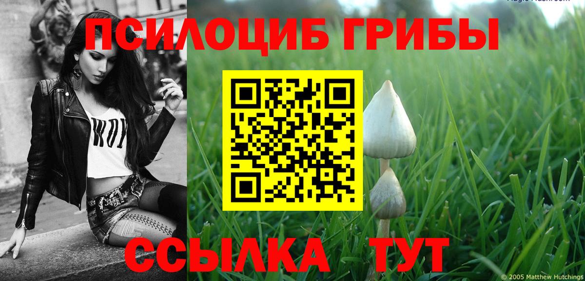 Галлюциногенные грибы Magic Shrooms Павловский Посад